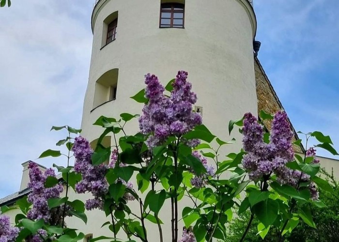 _WIOSNA, ACH TO TY_  KONKURS W PRZEMYSKIM HUFCU 4
